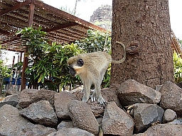 Cape Verde image